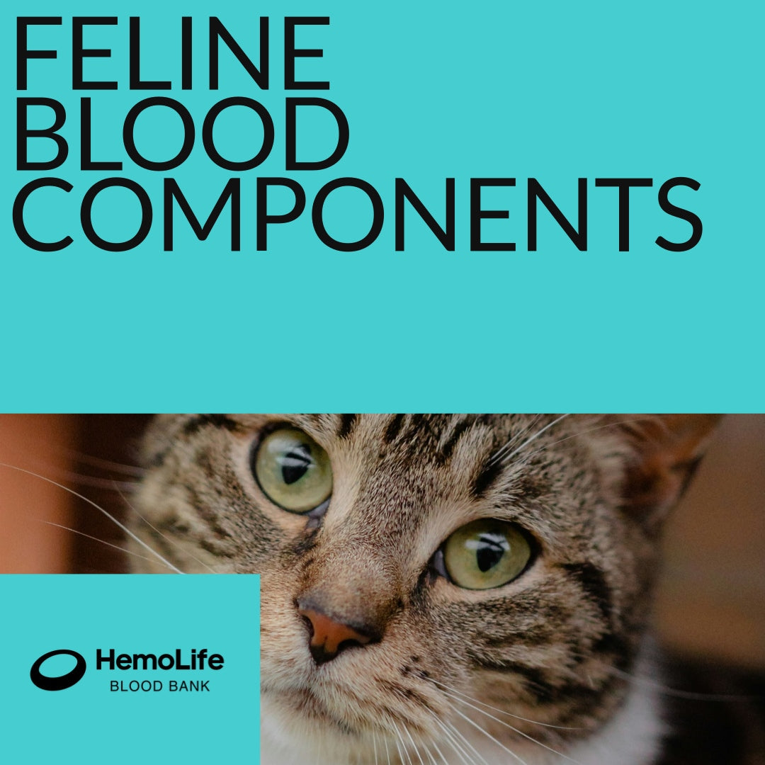 Blood components for CATS