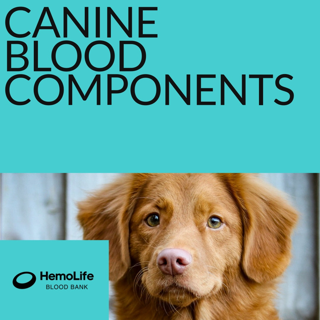 Blood components for DOGS