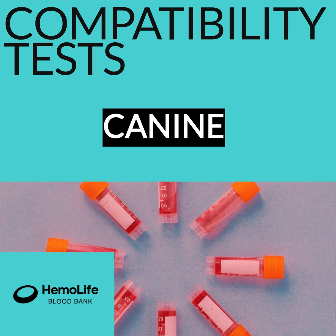 Compatibility test for DOGS